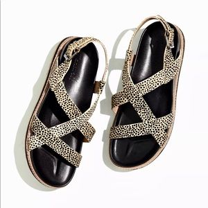 The Aubrey Sandal in Spotted Calf Hair